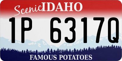 ID license plate 1P6317Q