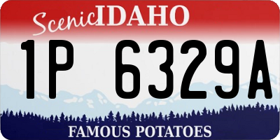 ID license plate 1P6329A