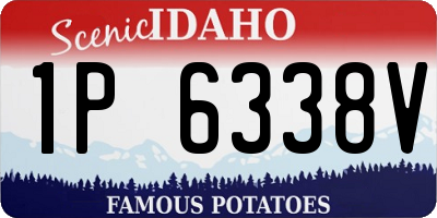 ID license plate 1P6338V