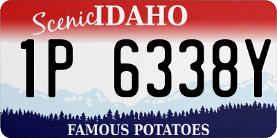 ID license plate 1P6338Y