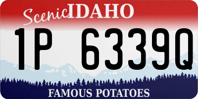 ID license plate 1P6339Q