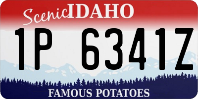 ID license plate 1P6341Z