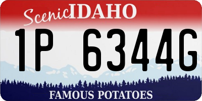 ID license plate 1P6344G