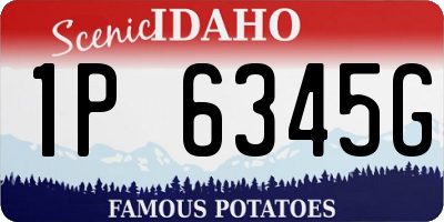 ID license plate 1P6345G