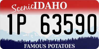 ID license plate 1P6359O
