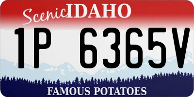 ID license plate 1P6365V