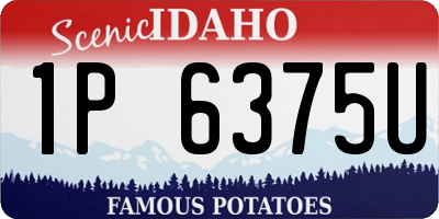 ID license plate 1P6375U