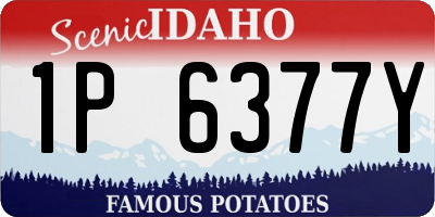 ID license plate 1P6377Y