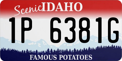 ID license plate 1P6381G