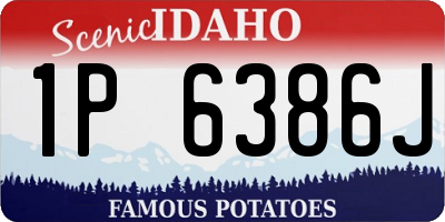 ID license plate 1P6386J