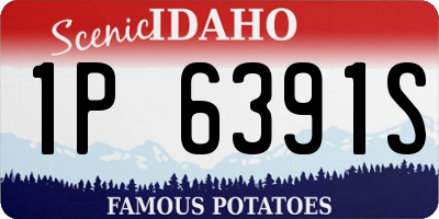 ID license plate 1P6391S