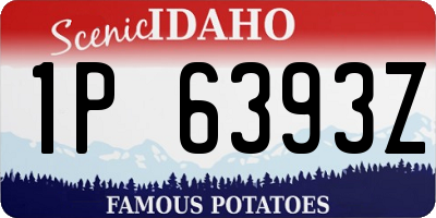ID license plate 1P6393Z