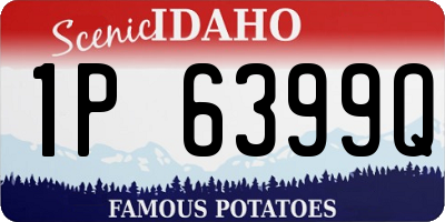 ID license plate 1P6399Q