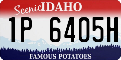 ID license plate 1P6405H