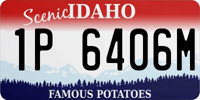 ID license plate 1P6406M