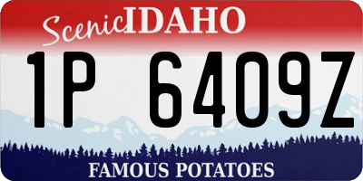 ID license plate 1P6409Z