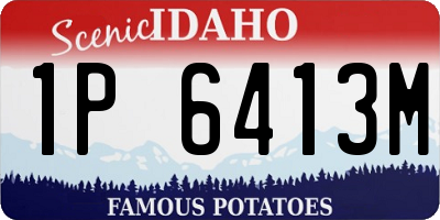 ID license plate 1P6413M