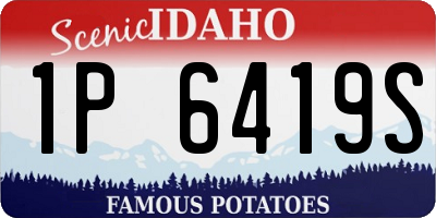 ID license plate 1P6419S