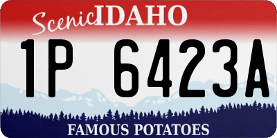 ID license plate 1P6423A
