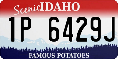 ID license plate 1P6429J