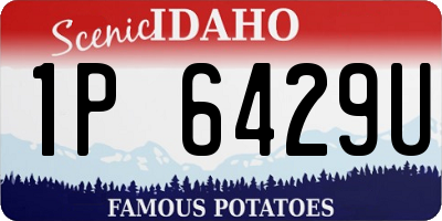 ID license plate 1P6429U