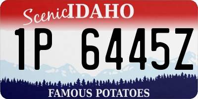 ID license plate 1P6445Z