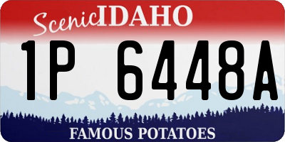 ID license plate 1P6448A