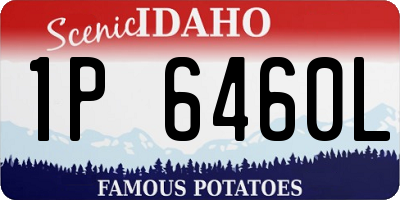 ID license plate 1P6460L