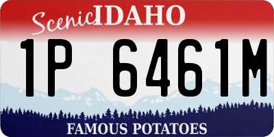 ID license plate 1P6461M