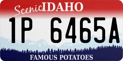 ID license plate 1P6465A