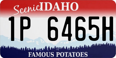 ID license plate 1P6465H