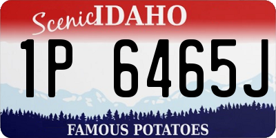 ID license plate 1P6465J