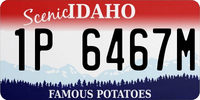 ID license plate 1P6467M
