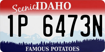 ID license plate 1P6473N
