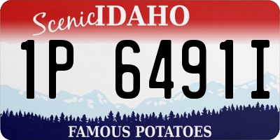 ID license plate 1P6491I