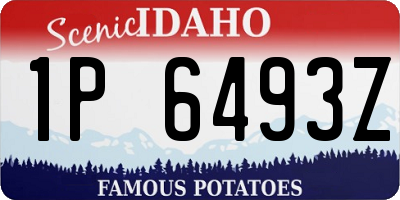 ID license plate 1P6493Z
