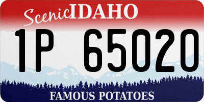 ID license plate 1P6502O