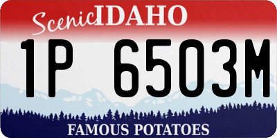 ID license plate 1P6503M