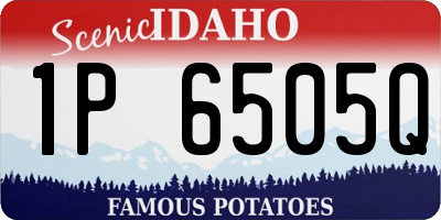 ID license plate 1P6505Q