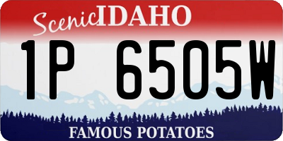 ID license plate 1P6505W