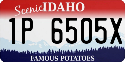 ID license plate 1P6505X