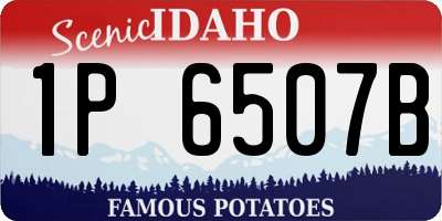 ID license plate 1P6507B
