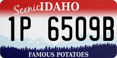 ID license plate 1P6509B