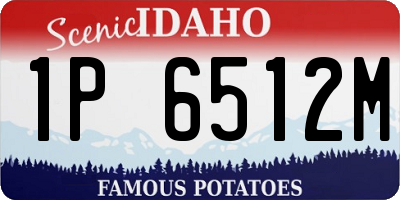 ID license plate 1P6512M