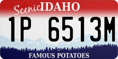 ID license plate 1P6513M