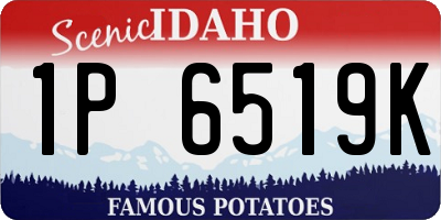 ID license plate 1P6519K