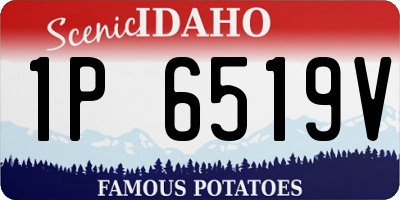 ID license plate 1P6519V