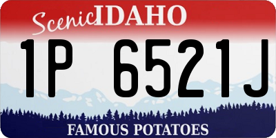 ID license plate 1P6521J