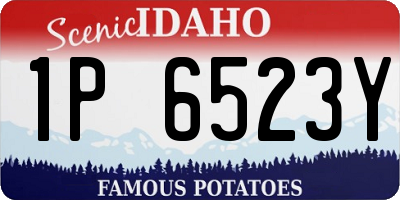 ID license plate 1P6523Y