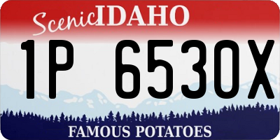 ID license plate 1P6530X